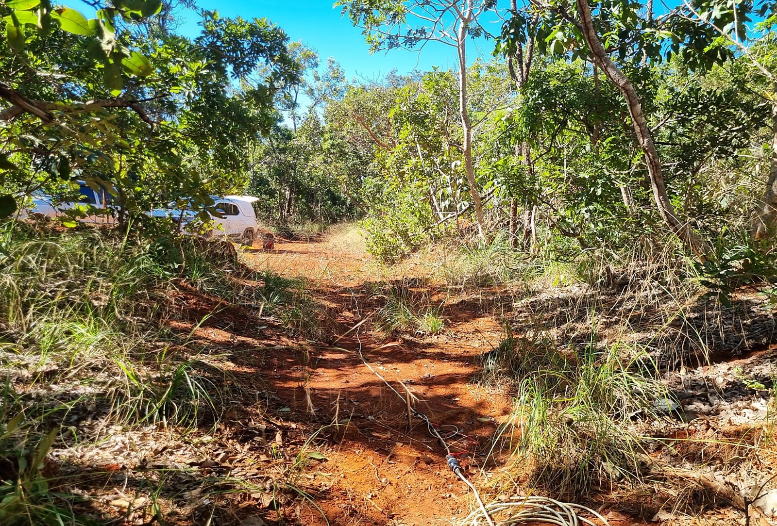 Etapa 2 em campo real: cabo de eletrodos do Caminhamento Elétrico estendido ao longo da linha de investigação aberta no Cerrado, com o veículo da equipe ao fundo.