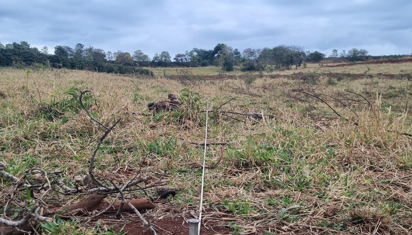Eletrodo de Caminhamento Elétrico cravado no terreno em aquisição geofísica real da Aqua Liber — como o provedor mede o risco antes de investir