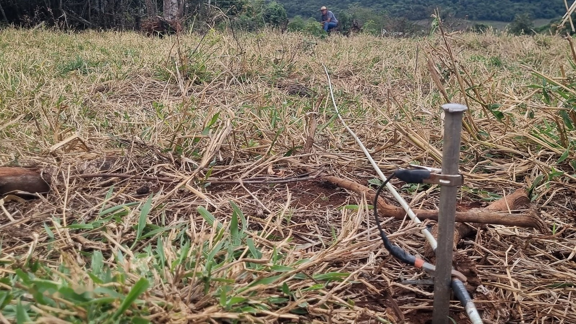 Eletrodo cravado no solo com o cabo da linha de Caminhamento Elétrico em aquisição geofísica real da Aqua Liber — quando o diagnóstico aponta poço novo, o ponto é definido com dados do subsolo