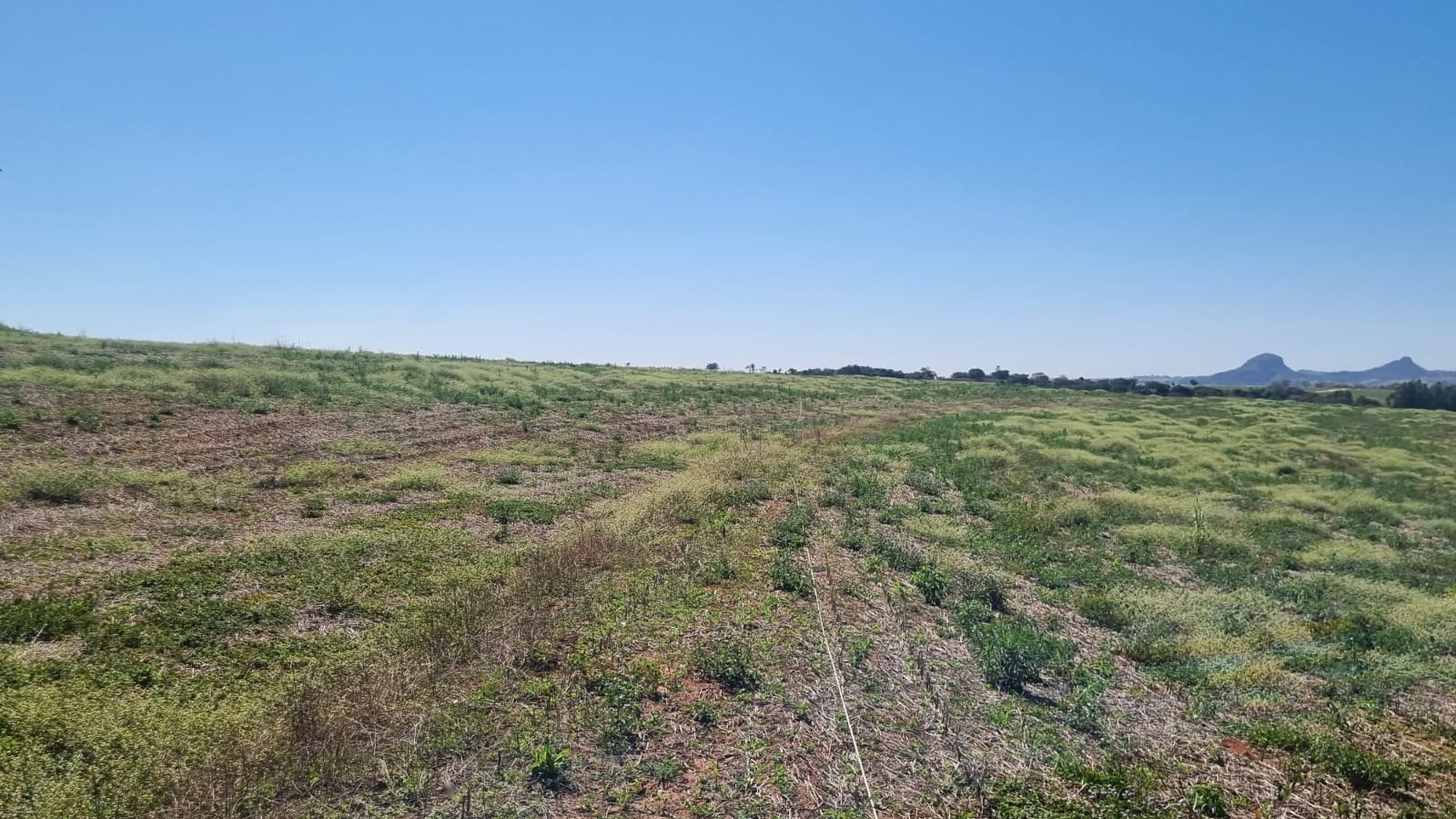 Linha do Caminhamento Elétrico esticada num pasto durante aquisição geofísica real da Aqua Liber, com morros ao fundo — o estudo que indica o ponto e a profundidade-alvo antes da perfuração
